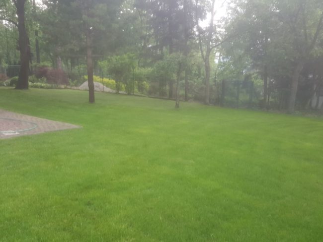 pielęgnacja ogrodów